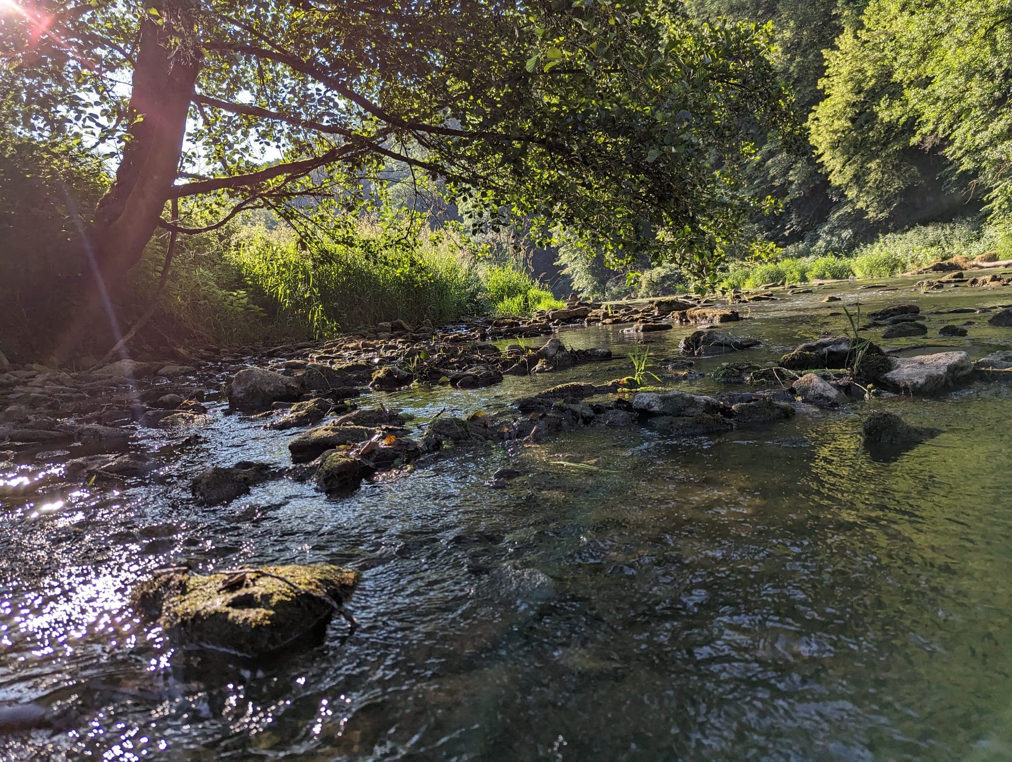 A scenic view of a lake at sunset with mountains in the background.